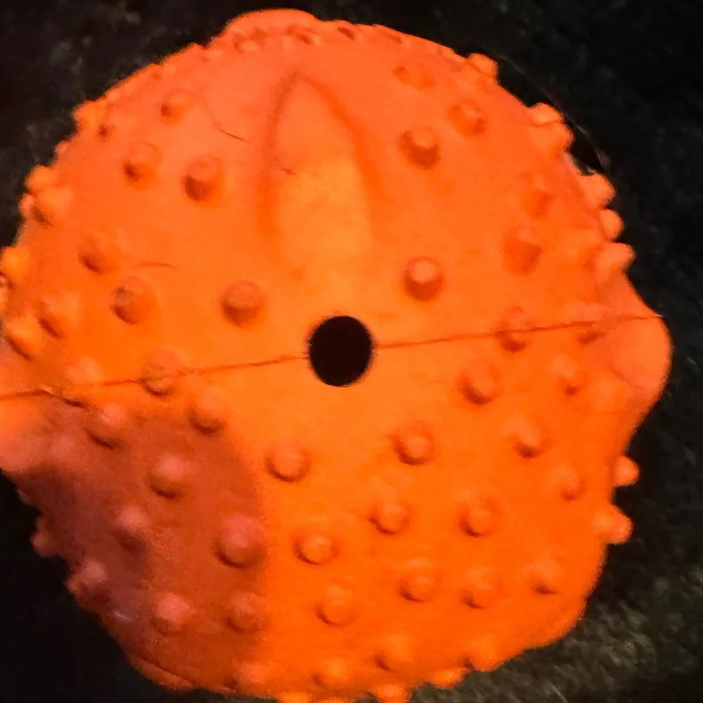 Bullymake Blowfish treat dispensing Dog toy L